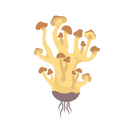 Honey Fungus Illustrationのイラスト素材