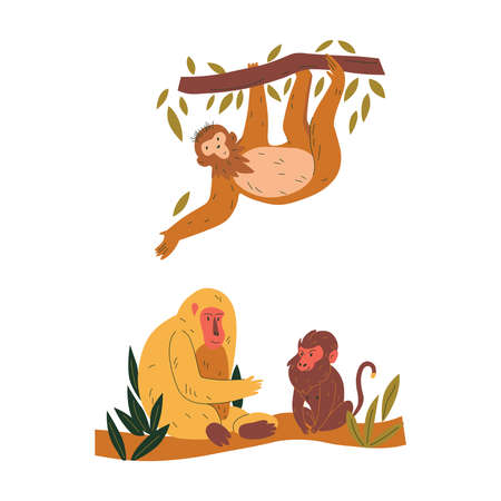 Monkeys Flat Illustrationのイラスト素材
