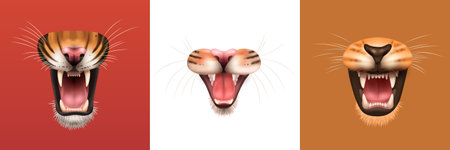 Realistic design concept with open mouth of angry roaring cat family animals isolated vector illustrationのイラスト素材