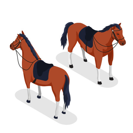 Sport Horse Conceptのイラスト素材