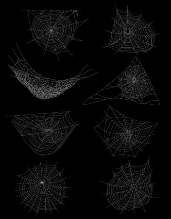 Realistic Spider Web Setのイラスト素材