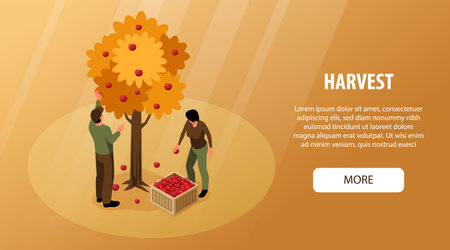 Harvest Gathering Horizontal Bannerのイラスト素材