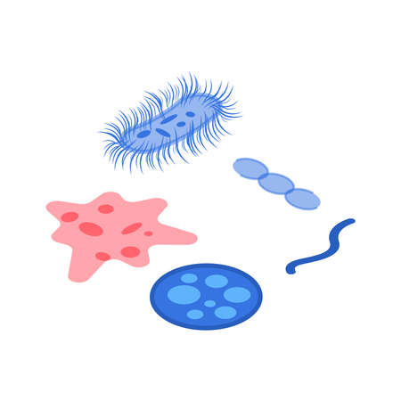 Isometric Microorganism Illustrationのイラスト素材