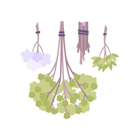 Flat Herbs Illustrationのイラスト素材