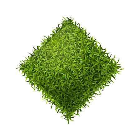 Diamond Shaped Grass Compositionのイラスト素材