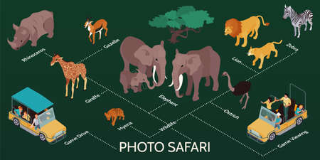 Photo Safari Isometric Infographicsのイラスト素材