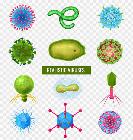 Viruses Realistic Transparent Setのイラスト素材
