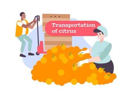 Citrus Transportation Compositionのイラスト素材