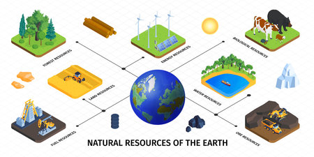 Natural Resources Isometric Infographicsのイラスト素材
