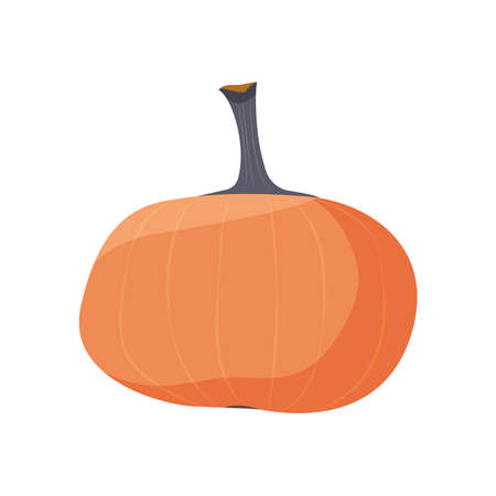 Pumpkin Flat Iconのイラスト素材