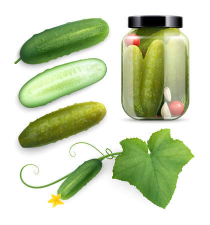 Food Cucumbers Realistic Collectionのイラスト素材