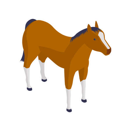 Horse Isometric Iconのイラスト素材