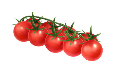 Cherry Tomatoes Illustrationのイラスト素材