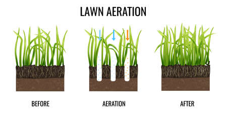 Lawn Aeration Illustrationのイラスト素材