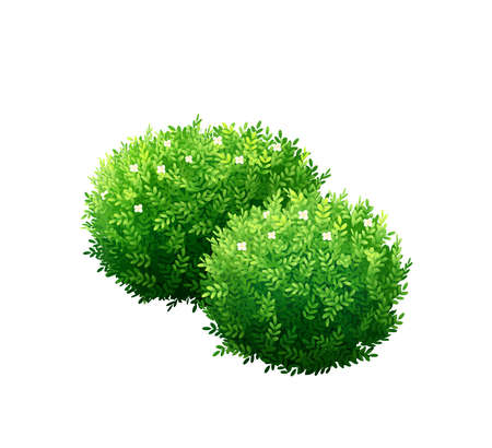 Green Bushes Illustrationのイラスト素材
