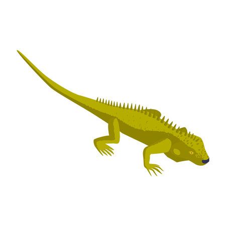 Isometric Lizard Iconのイラスト素材