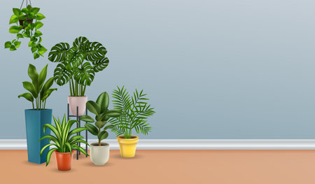 Plants Realistic Houseのイラスト素材