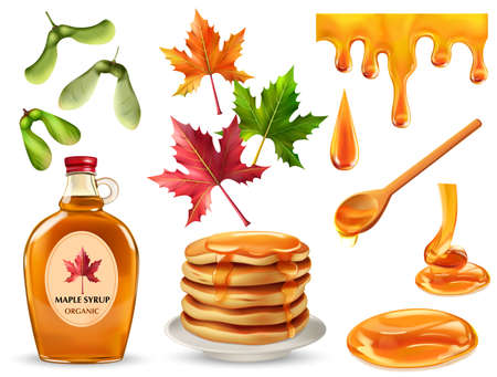 Maple Syrup Setのイラスト素材