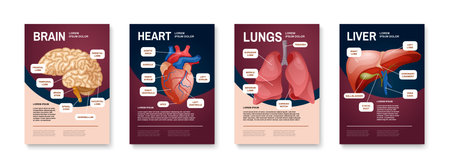 Internal Human Organs Poster Setのイラスト素材