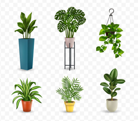 Realistic House Plantsのイラスト素材