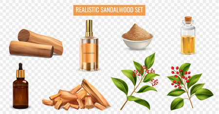 Sandalwood Realistic Setのイラスト素材