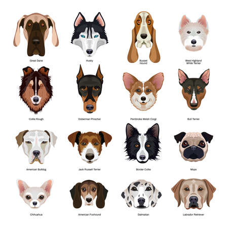 Dogs Breeds Setのイラスト素材