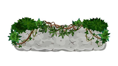 Long Rock Lianas Compositionのイラスト素材