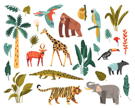 Jungle Habitat Icon Setのイラスト素材