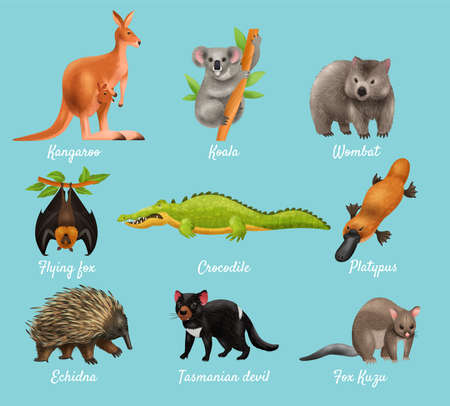 Australian Animals Design Conceptのイラスト素材