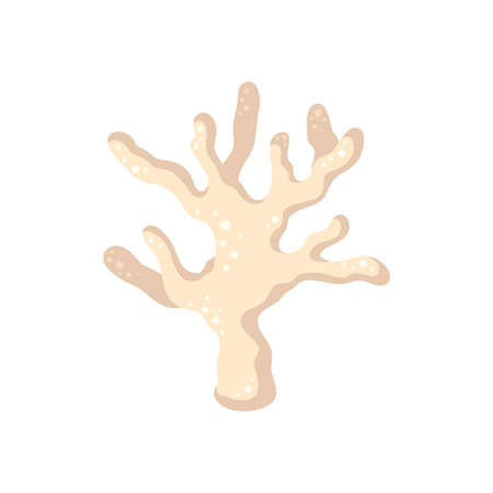 Pink Sea Coral Compositionのイラスト素材