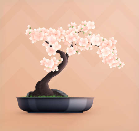 Flat Bonsai Treeのイラスト素材