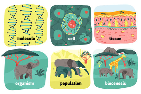 Biological Hierarchy Animals Compositionのイラスト素材