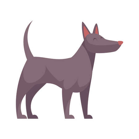 Grey Dog Grooming Compositionのイラスト素材