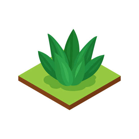 Isometric Jungle Lily Compositionのイラスト素材