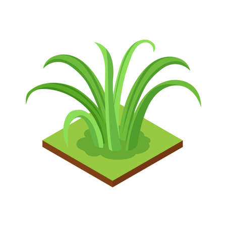 Isometric Jungle Plant Compositionのイラスト素材