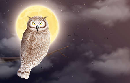 Moon Owl Night Compositionのイラスト素材