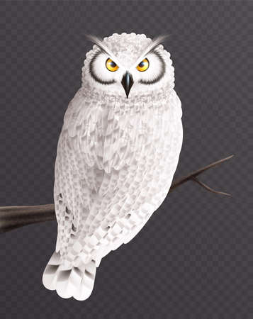 Realistic Snowy Owl Compositionのイラスト素材