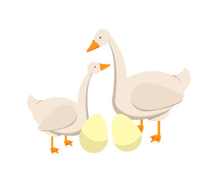 Farmers Market Geese Compositionのイラスト素材