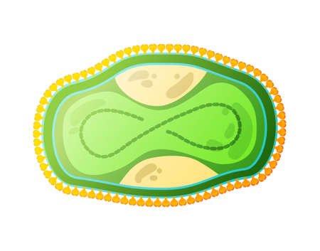 Poxviridae Human Virus Compositionのイラスト素材