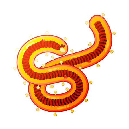 Ebola Color Virus Compositionのイラスト素材