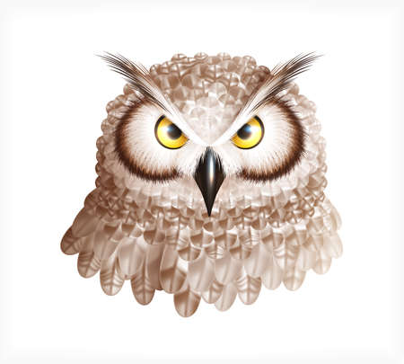 Owl Head Realistic Compositionのイラスト素材