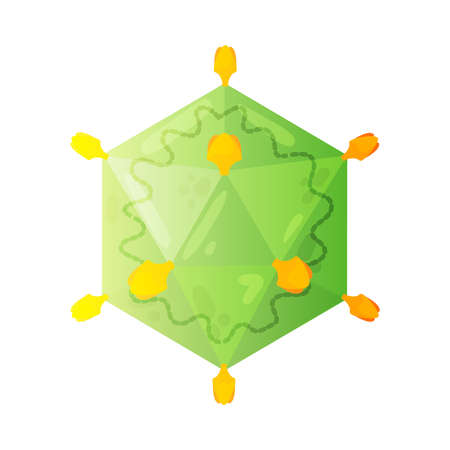 Tectiviridae Human Virus Compositionのイラスト素材