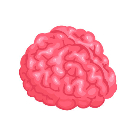Human Organs Brain Compositionのイラスト素材