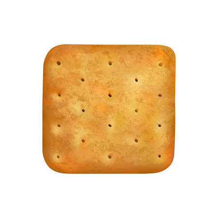 Realistic Cracker Illustrationのイラスト素材