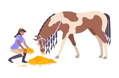 Horse Feeding Iconのイラスト素材