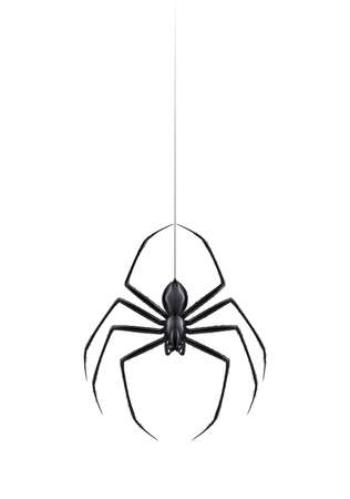 Spider Realistic Illustrationのイラスト素材