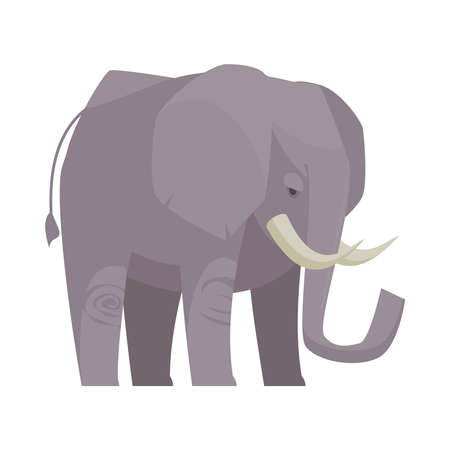 Flat Elephant Illustrationのイラスト素材