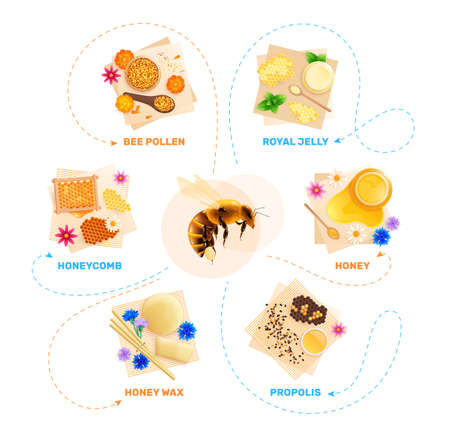 Beekeeping Products Flowchart Infographics