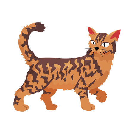 Scandinavian Wild Cat Compositionのイラスト素材