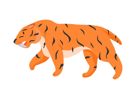 Sabre Toothed Tiger Compositionのイラスト素材